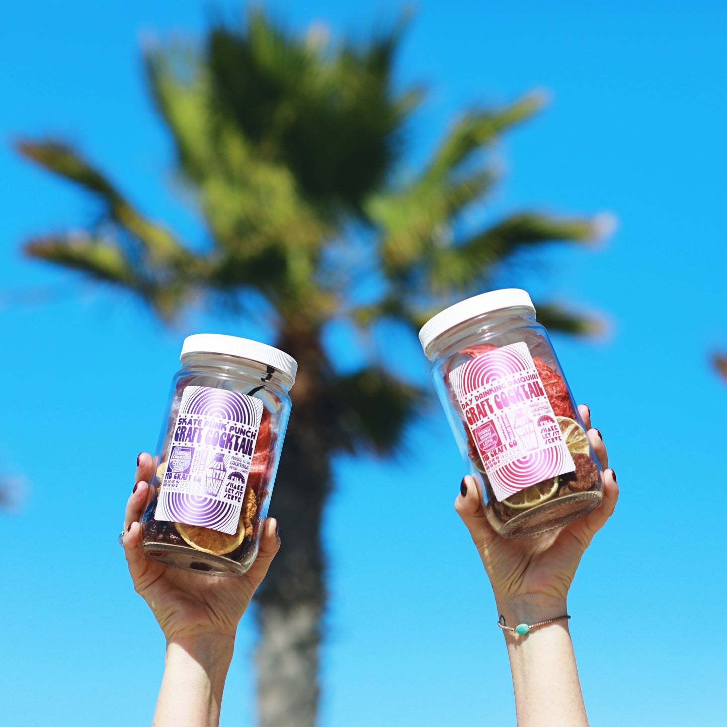 Skate Punk Punch Craft Cocktail Infusion Kit