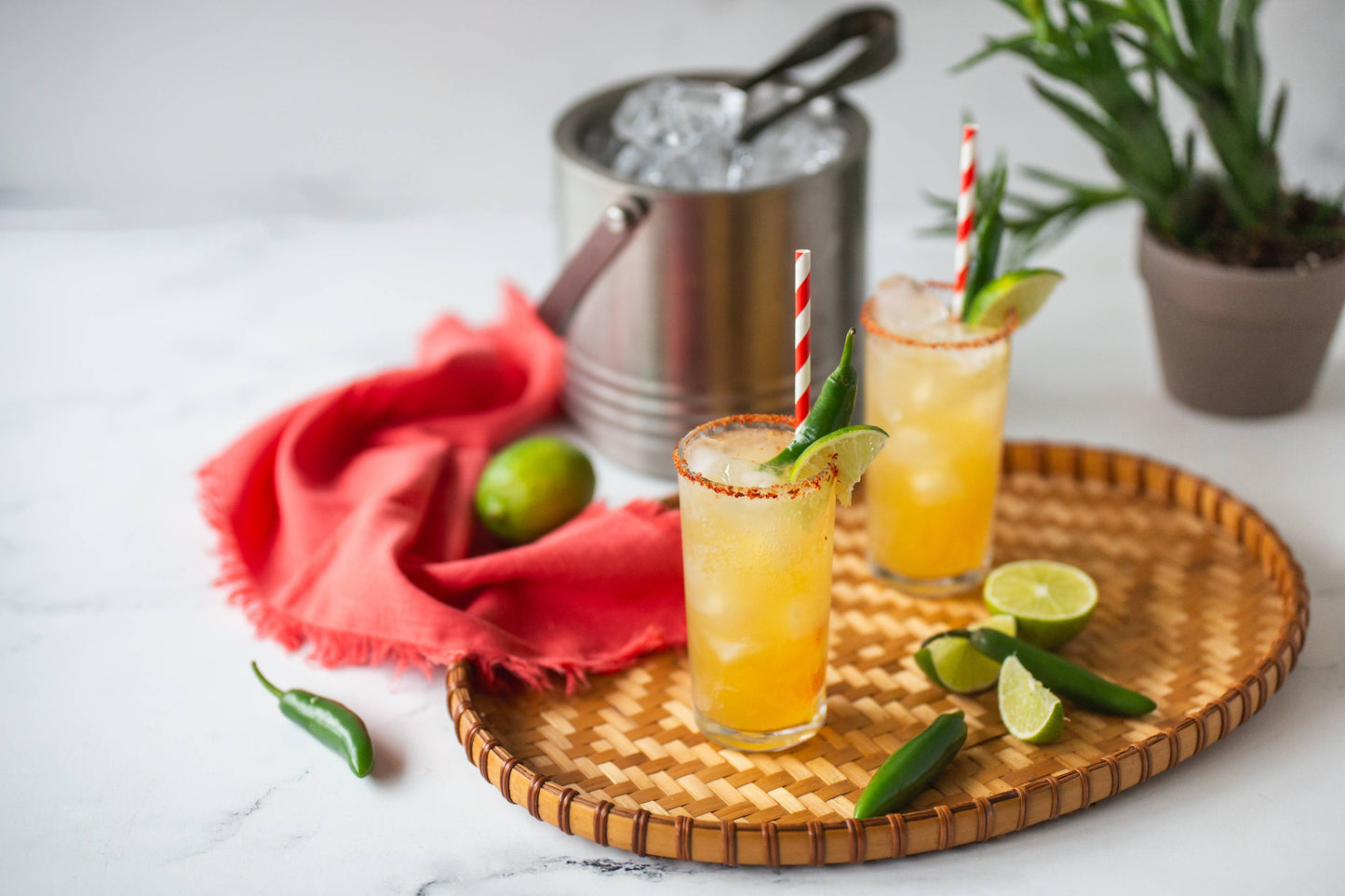 Gold Standard Cocktail / Mocktail Drink Mixers Gift Set