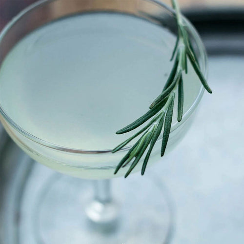 Winter Forest Gin Gimlet