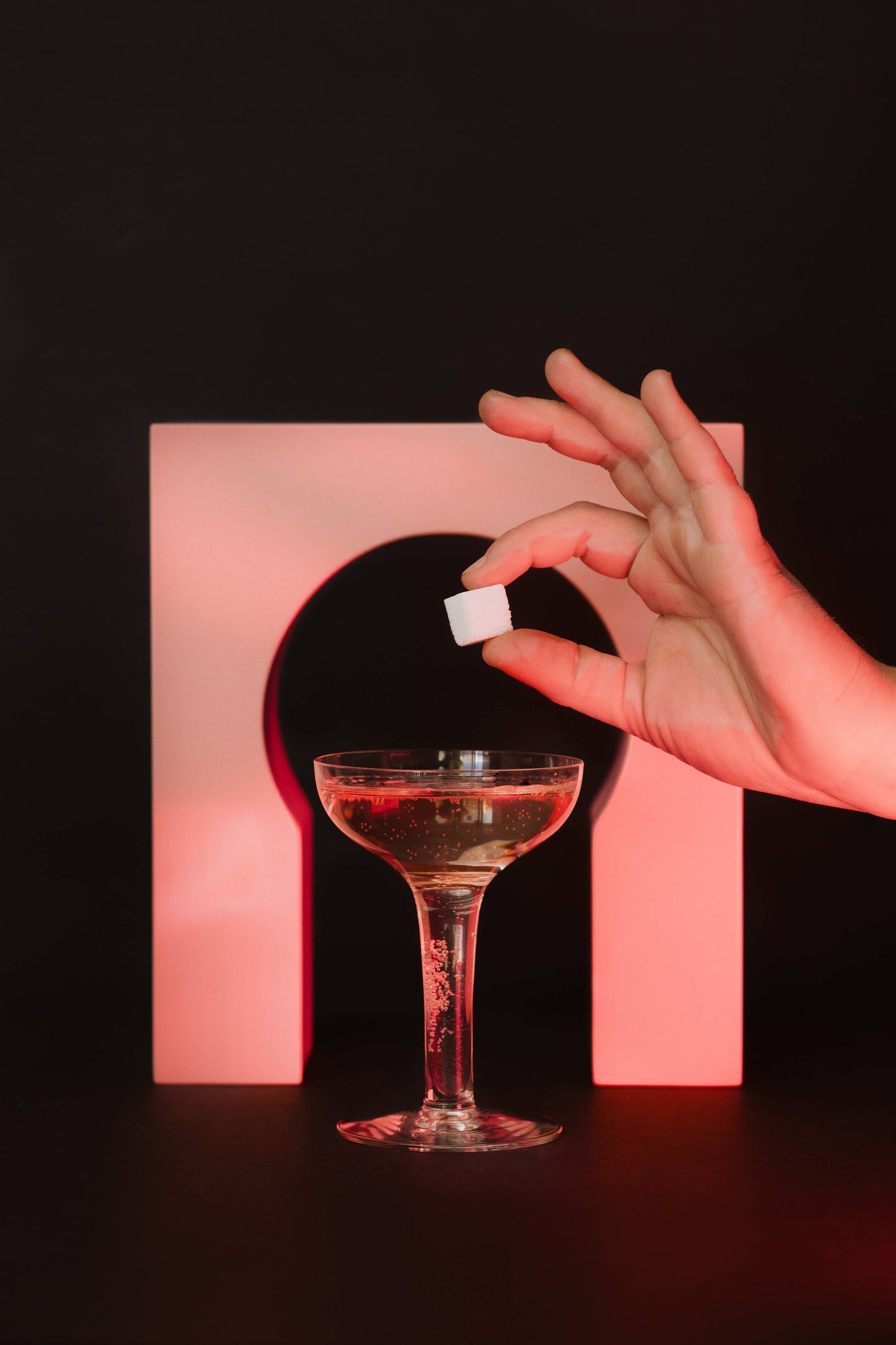 Elderflower Bitters Infused Champagne & Cocktail Cubes