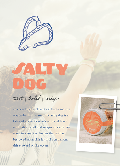 Salty Dog Infusion Kit