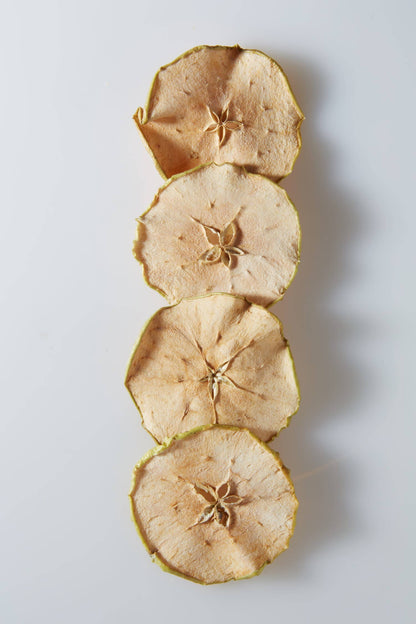 Dried apple slices arranged vertically on a light gray background